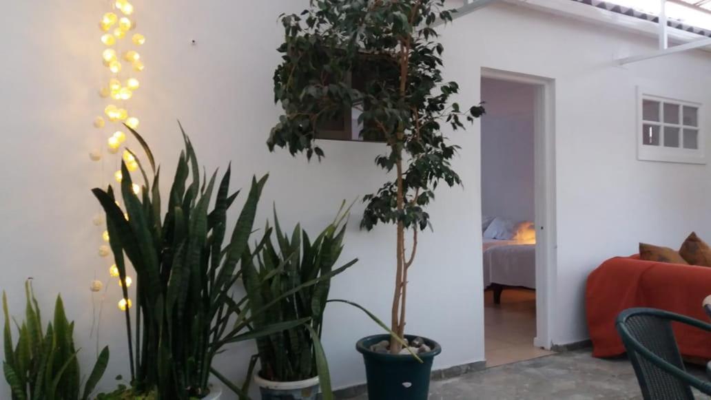 Hostal Casa 95 Vicuna Bagian luar foto